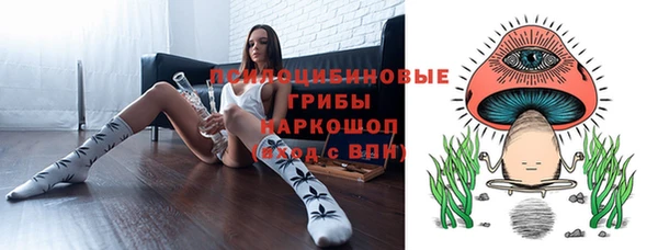 хмурый Арсеньев