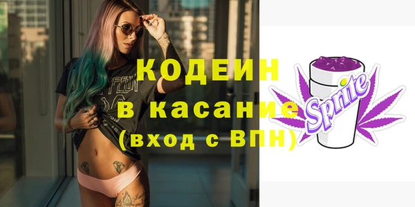 хмурый Арсеньев