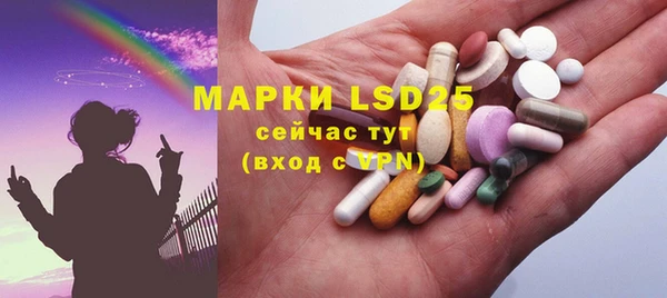 шишки Аркадак
