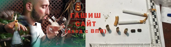 хмурый Арсеньев