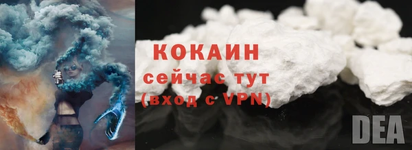 шишки Аркадак
