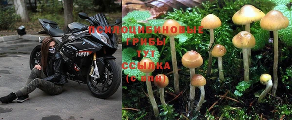 хмурый Арсеньев