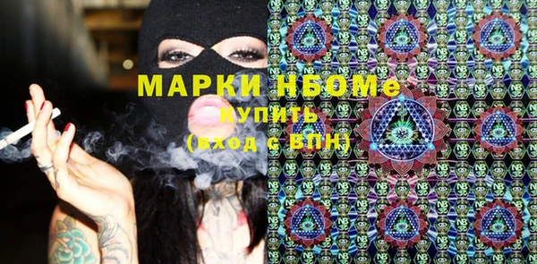 шишки Аркадак