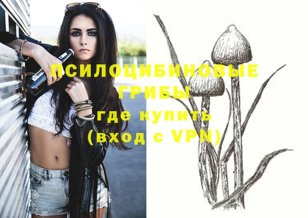 шишки Аркадак