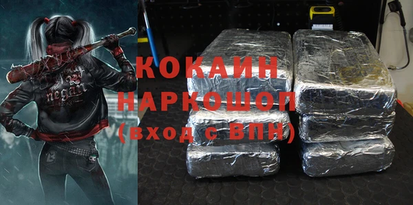 шишки Аркадак