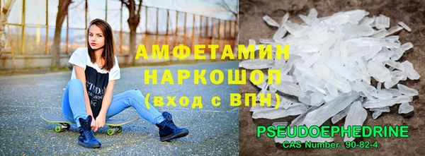 шишки Аркадак