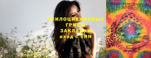 шишки Аркадак