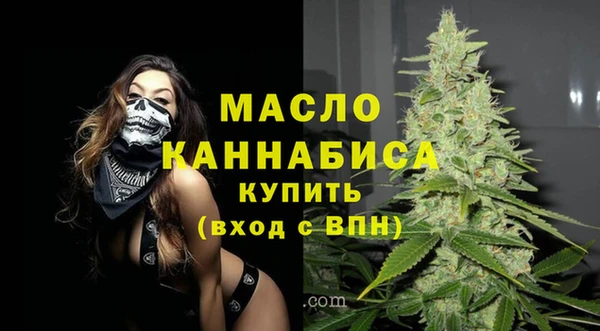хмурый Арсеньев