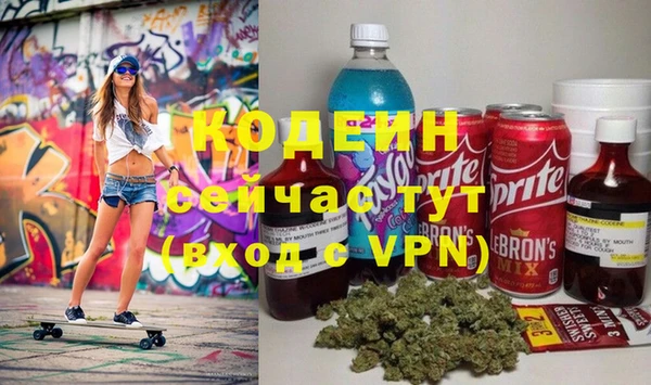 хмурый Арсеньев