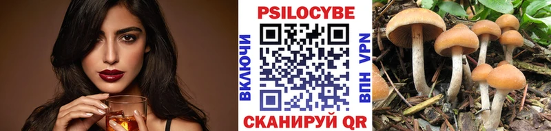закладка  Дзержинский  блэк спрут вход  Галлюциногенные грибы ЛСД 